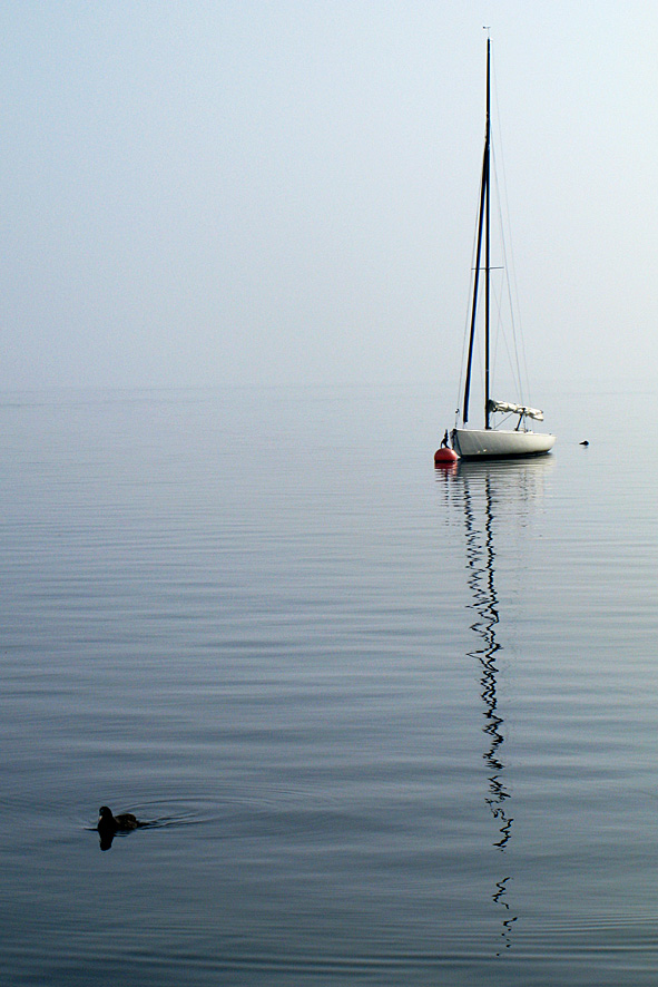 Nebel über dem See