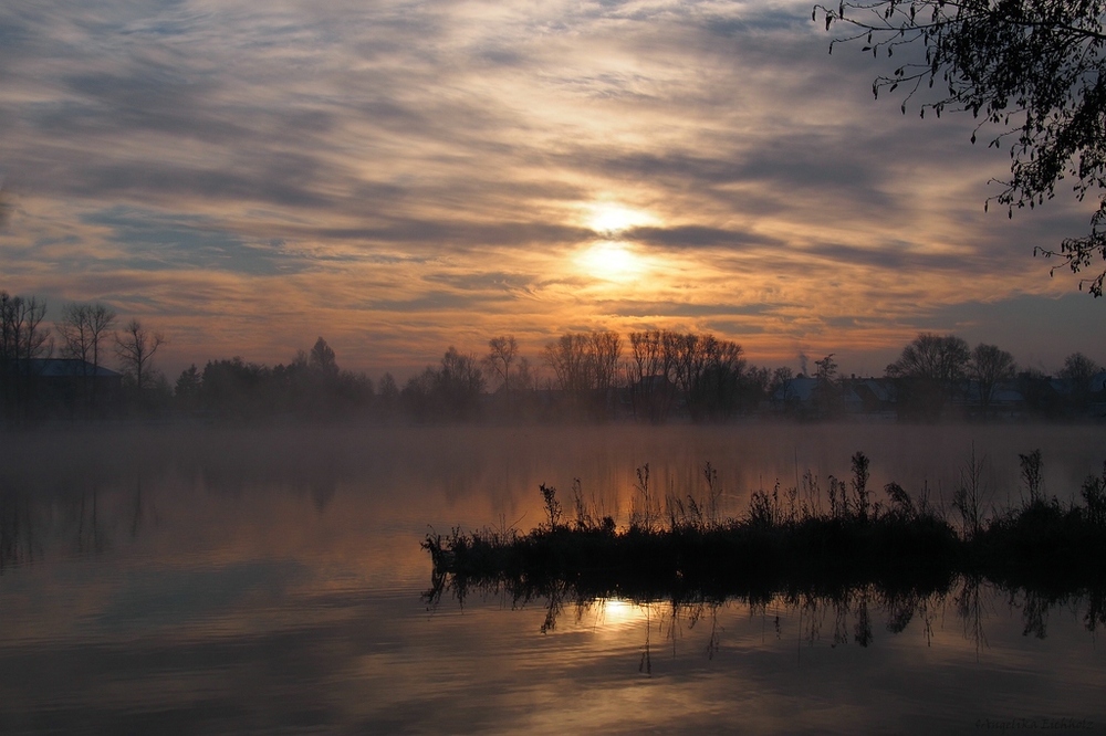 Nebel über dem See