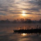 Nebel über dem See