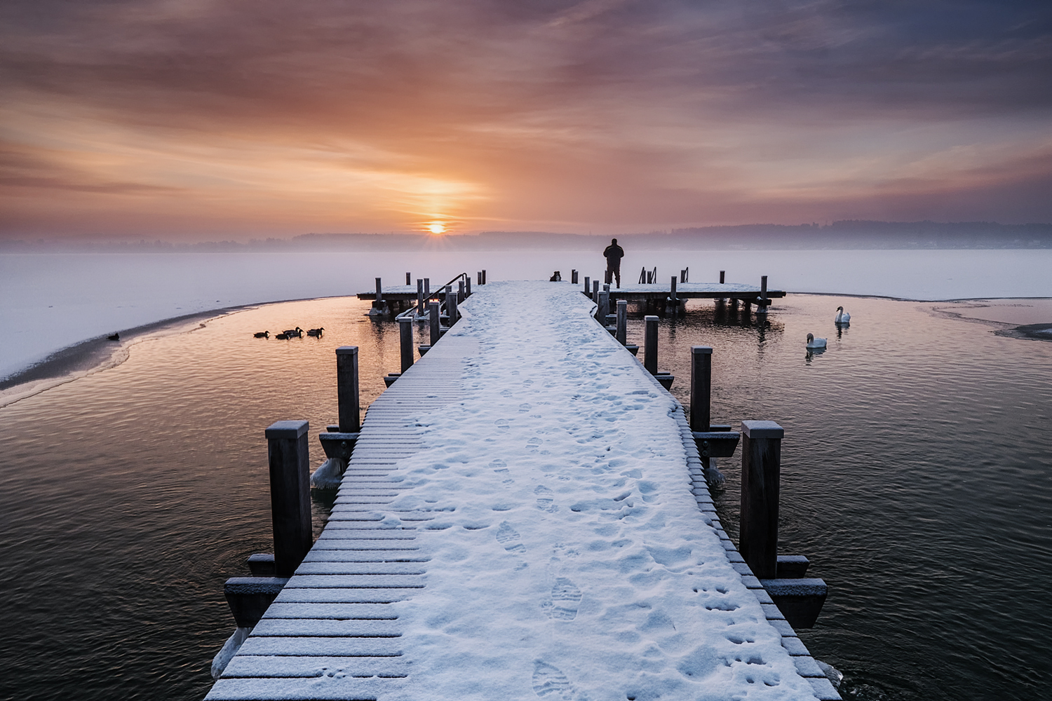 nebel über dem see