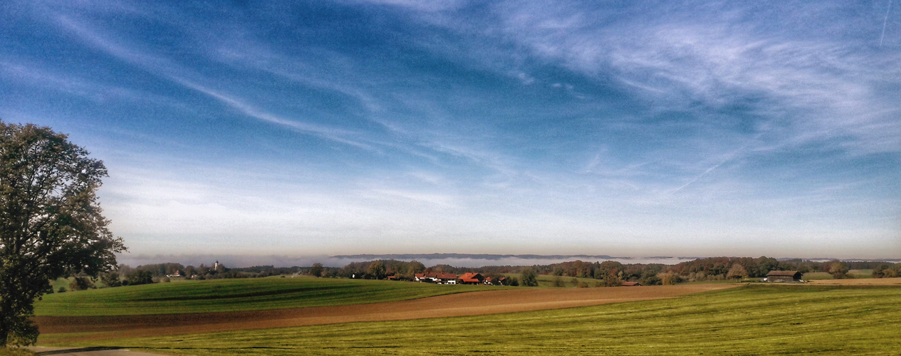 nebel über dem see