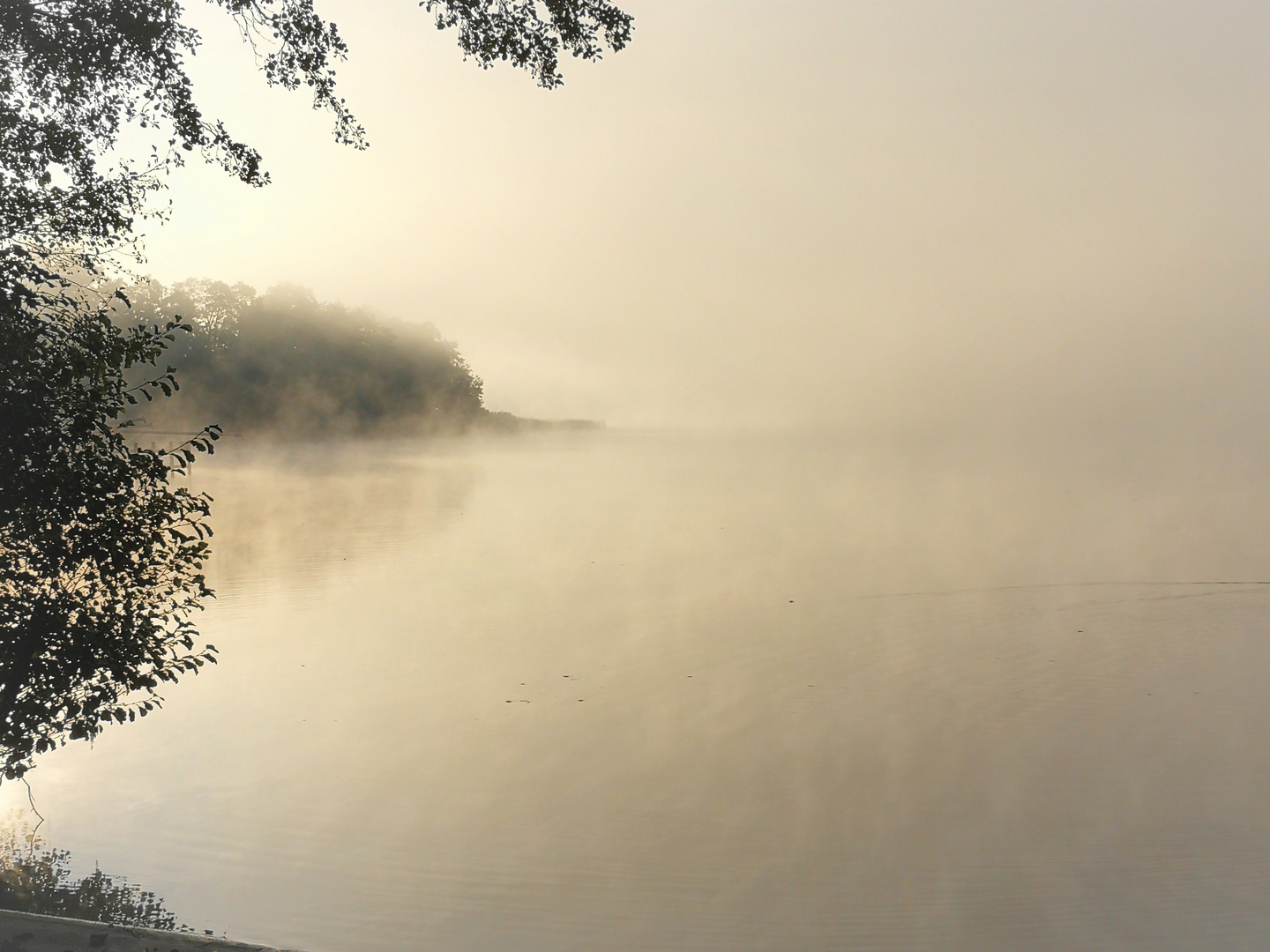 Nebel über dem See