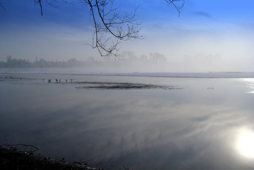 Nebel über dem See