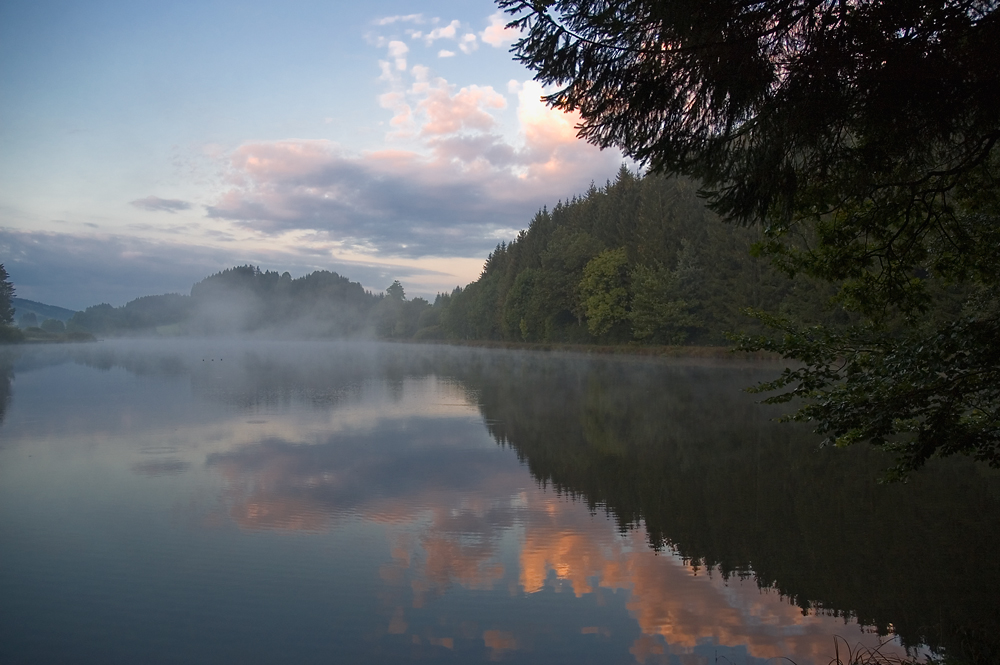 Nebel über dem See