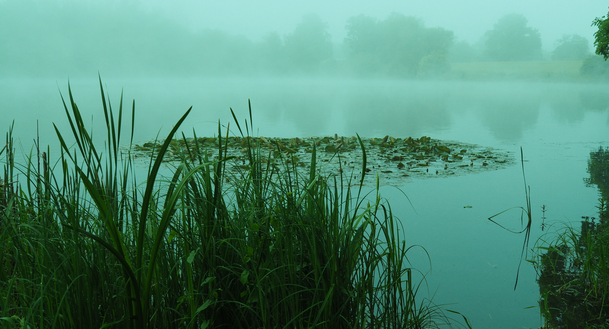 Nebel über dem See 