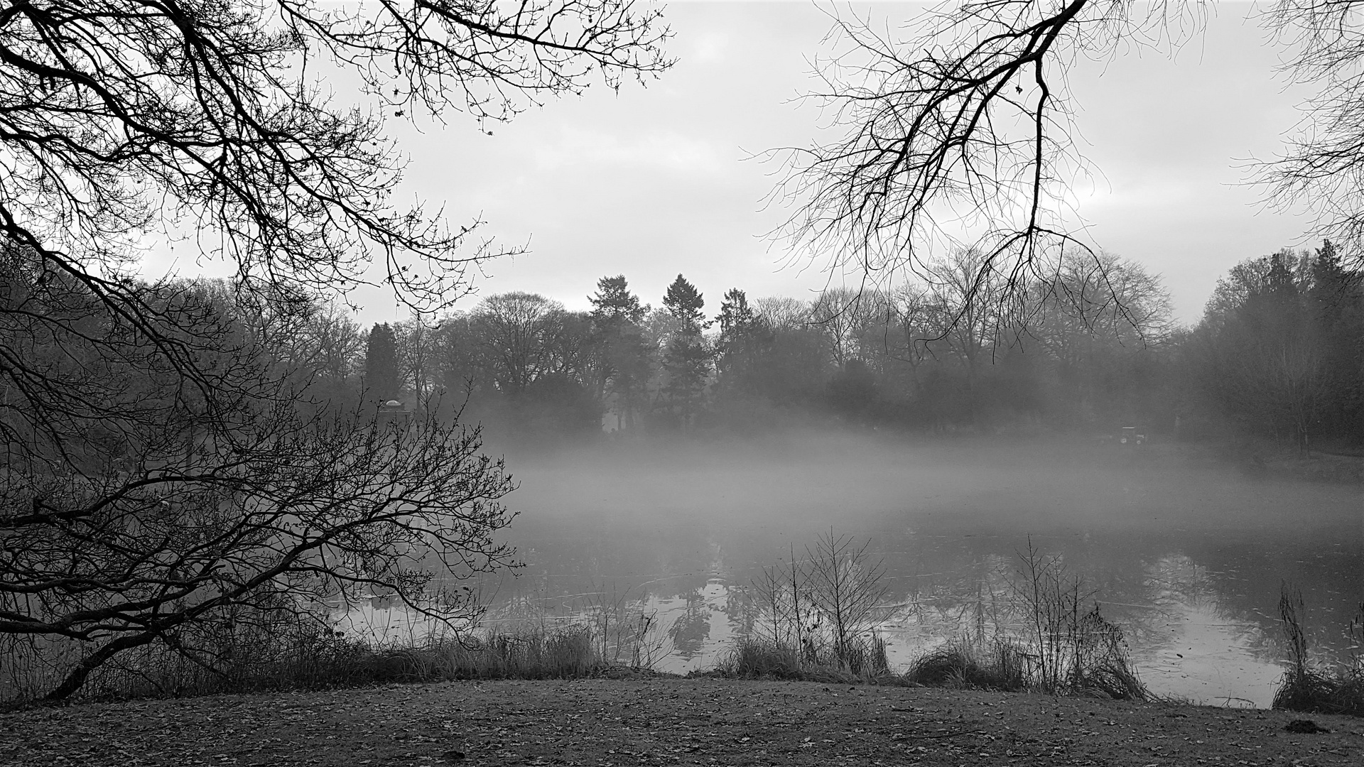 Nebel über dem See auf dem Friedhof