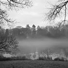 Nebel über dem See auf dem Friedhof