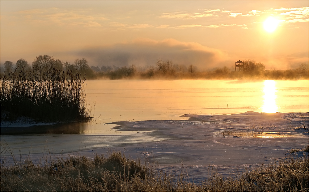 Nebel über dem See