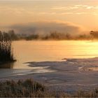 Nebel über dem See