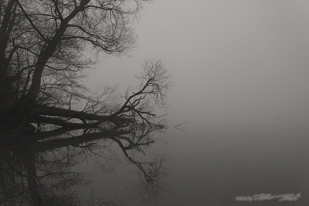 Nebel über dem See