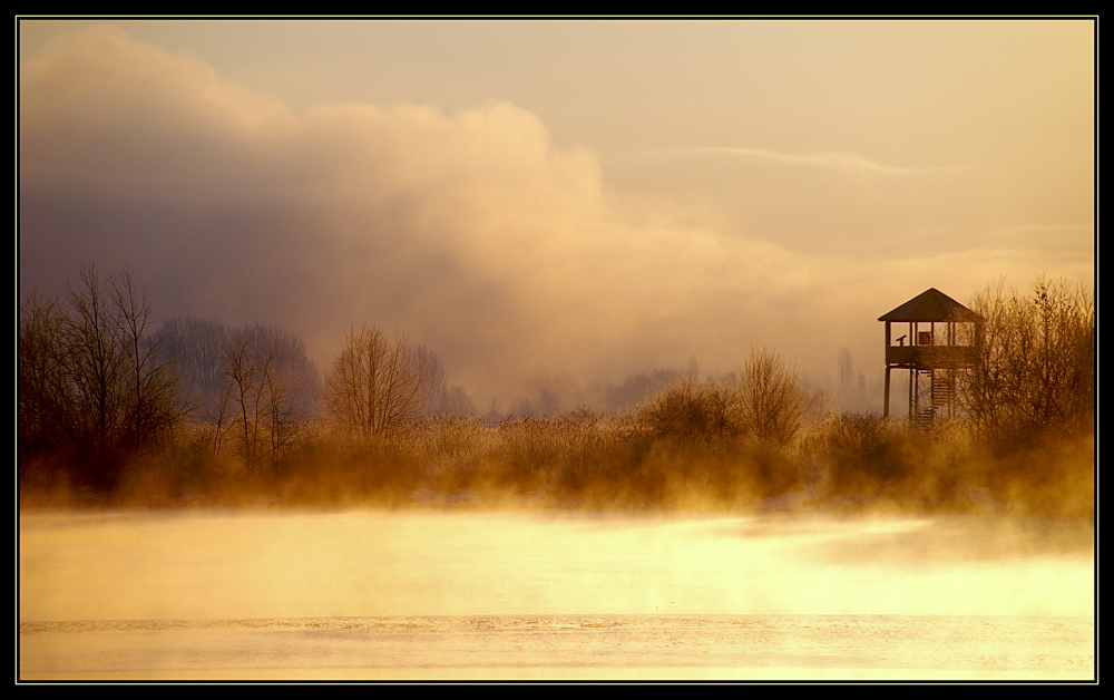 Nebel über dem See