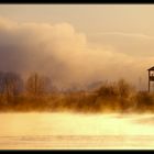 Nebel über dem See