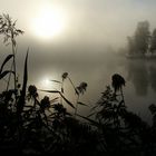 Nebel über dem See