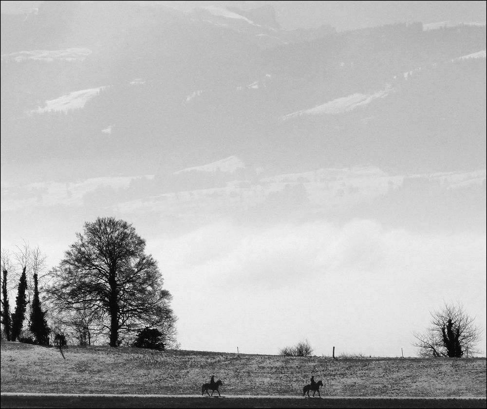 Nebel über dem See