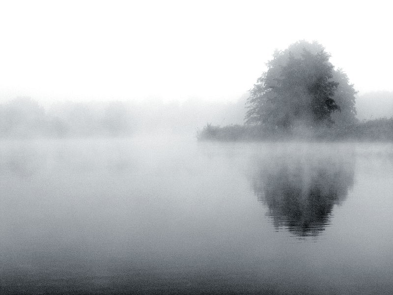 Nebel über dem See