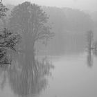 Nebel über dem See