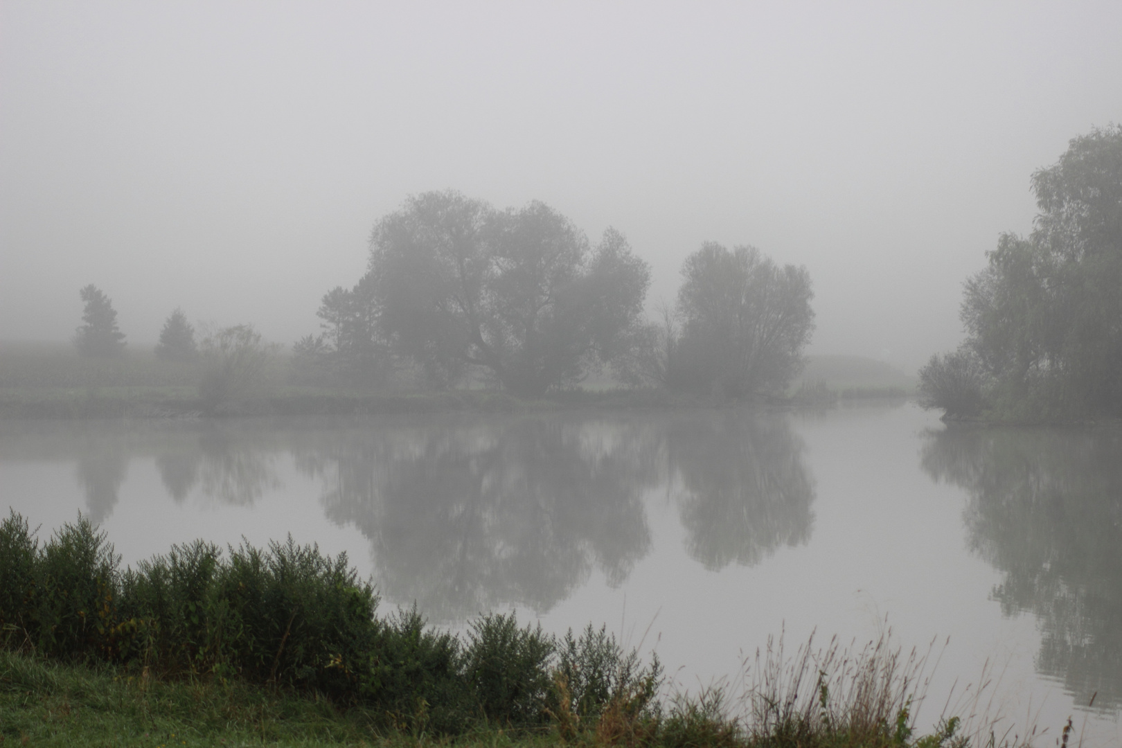 Nebel über dem See