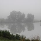 Nebel über dem See