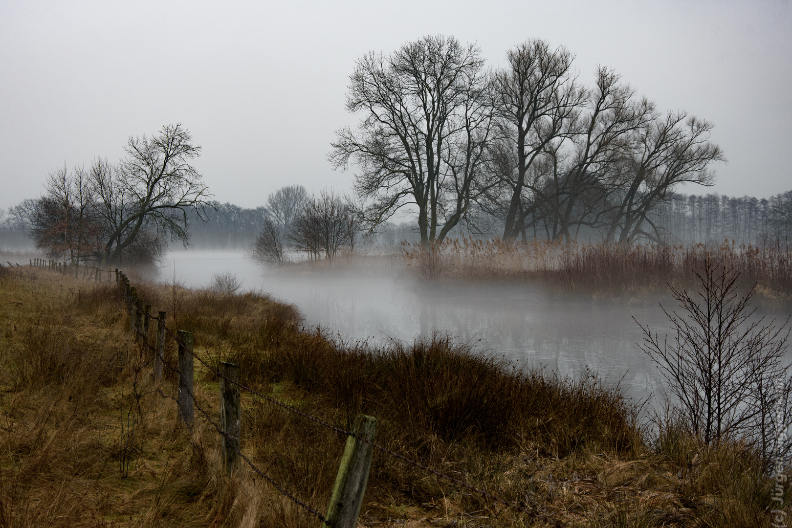 Nebel über dem Steinhorster Becken