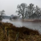 Nebel über dem Steinhorster Becken