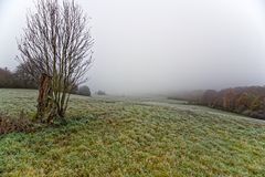 Nebel über dem Stennweiler Flur