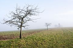 Nebel über dem Stennweiler Flur