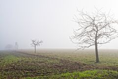 Nebel über dem Stennweiler Flur
