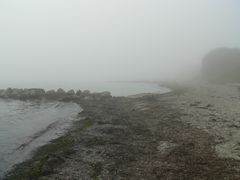 Nebel über dem Strand