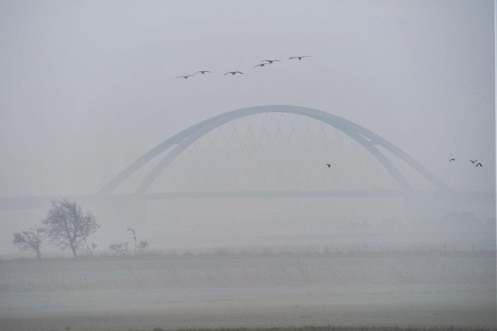 Nebel über dem Sund