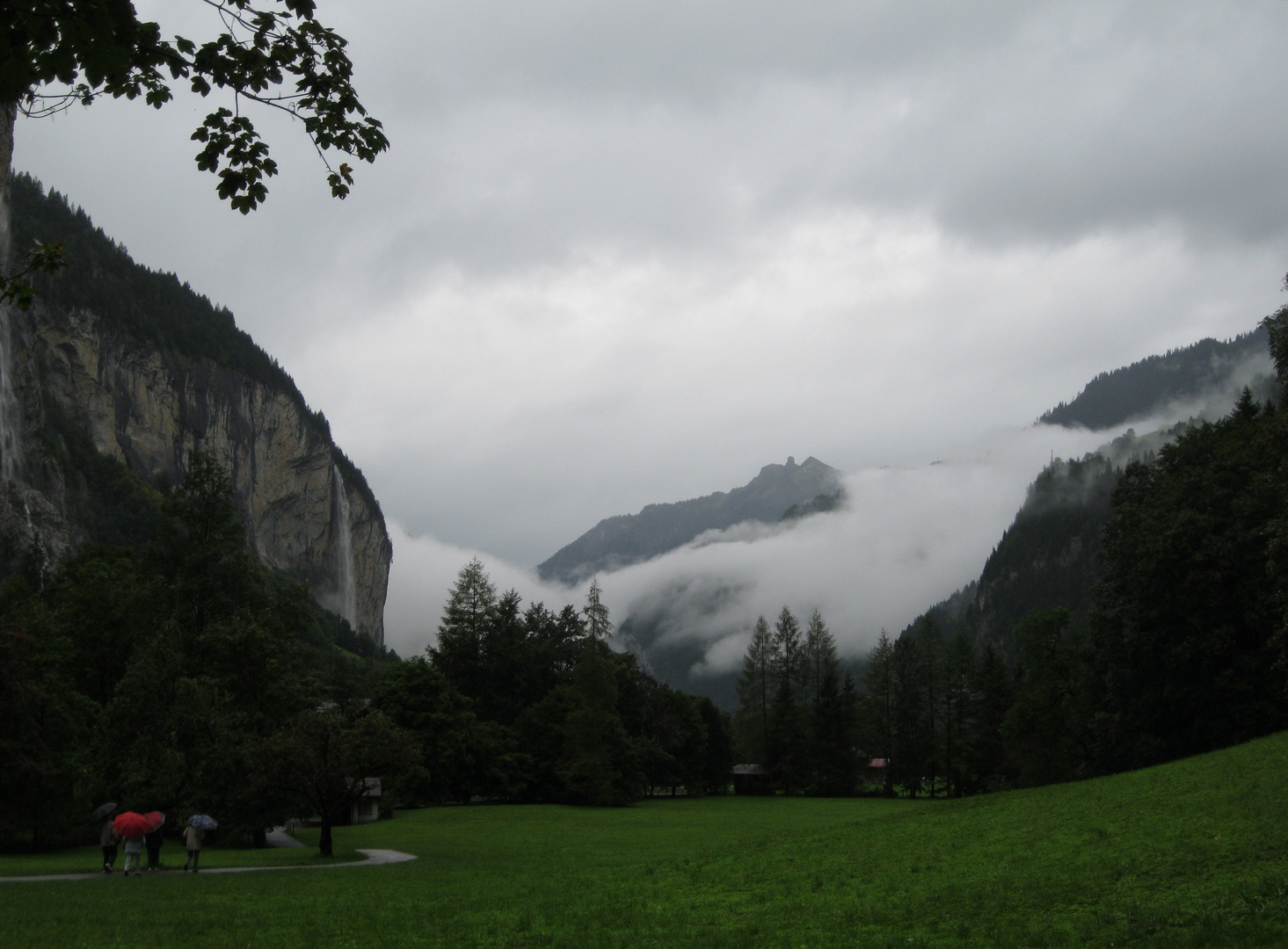 Nebel über dem Tal