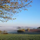 Nebel über dem Tal