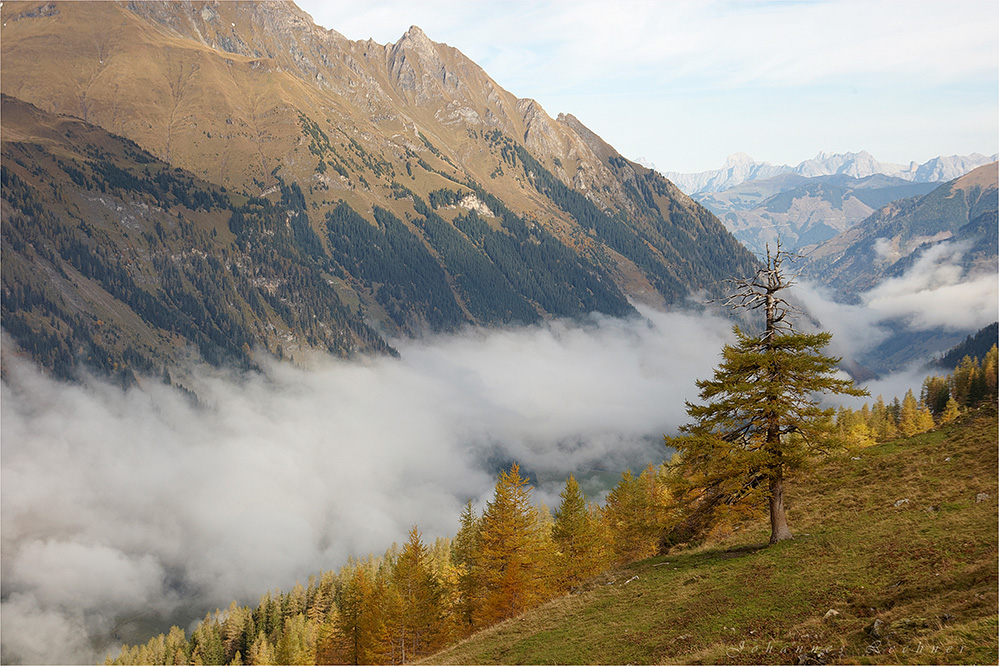 Nebel über dem Tal..