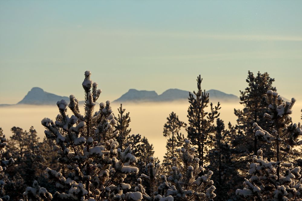 Nebel über dem Tal....