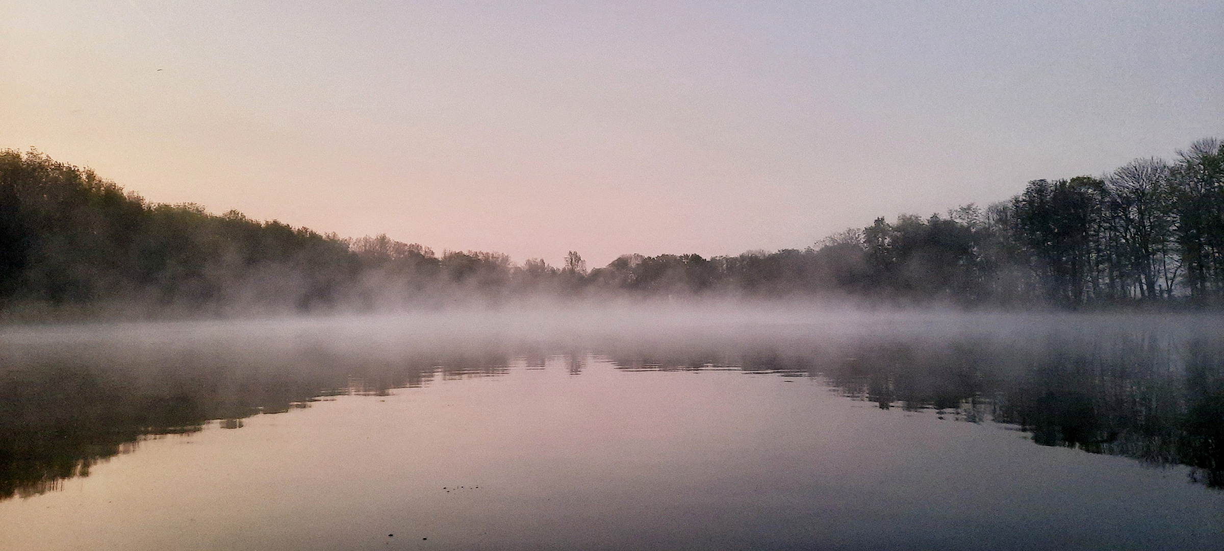  Nebel über dem Teich 