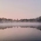  Nebel über dem Teich 