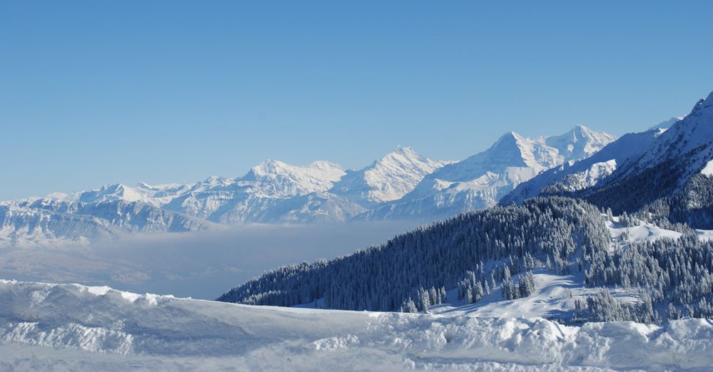 Nebel über dem Thunersee