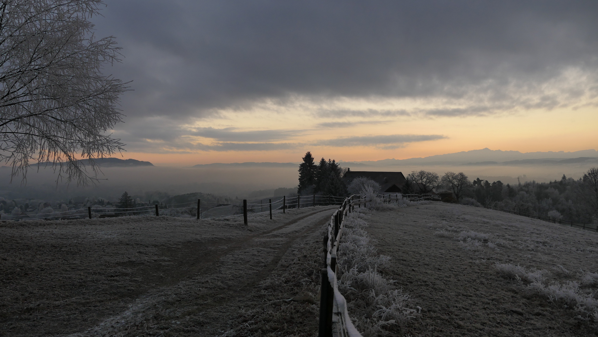 Nebel über dem Thurgau