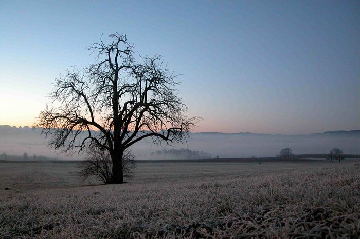 Nebel über dem Thurtal