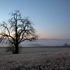 Nebel über dem Thurtal