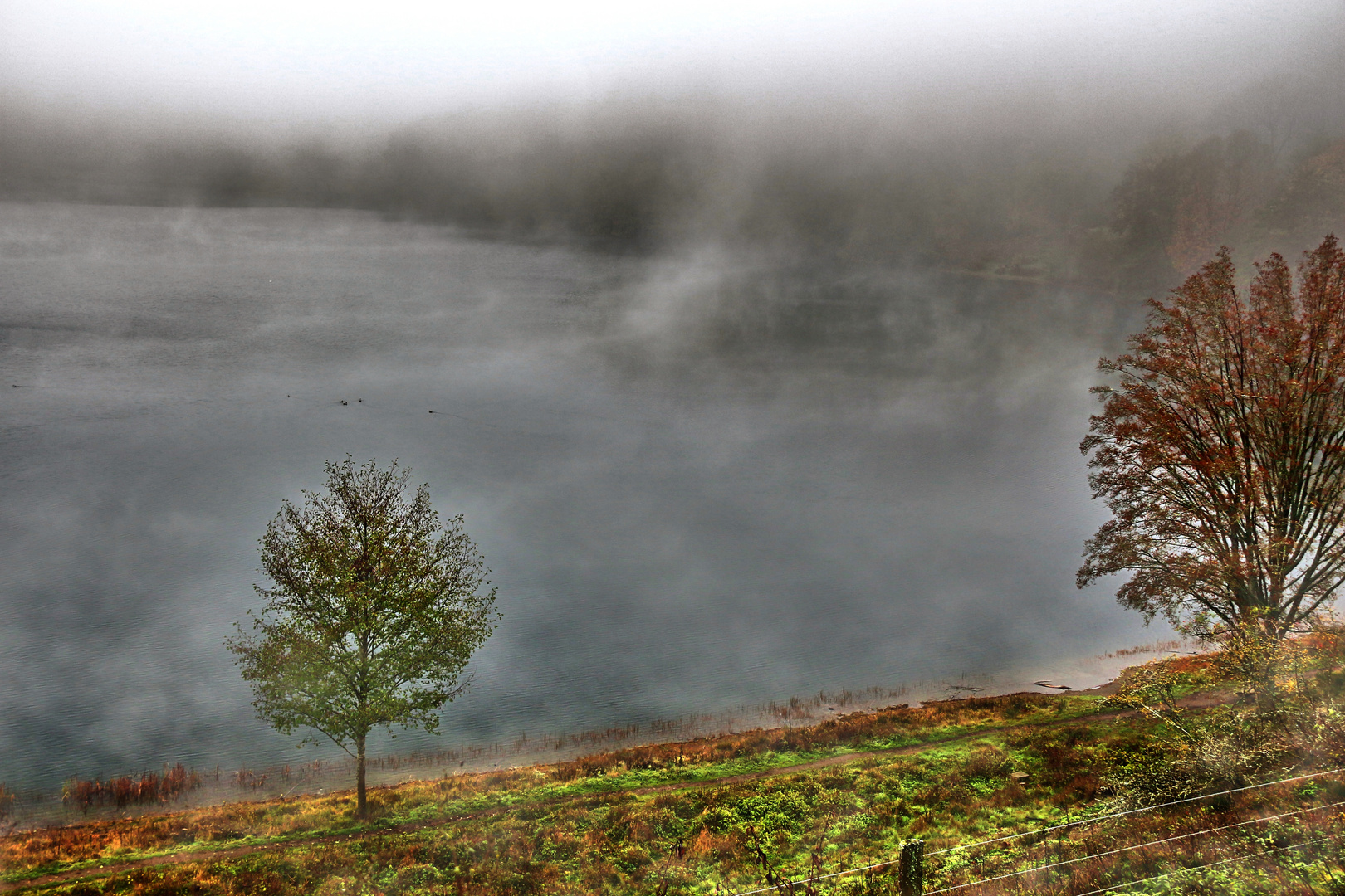 Nebel über dem Totemmaar/Eifel