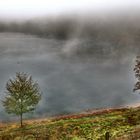 Nebel über dem Totemmaar/Eifel