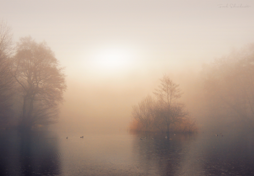 Nebel über dem Ütschenteich