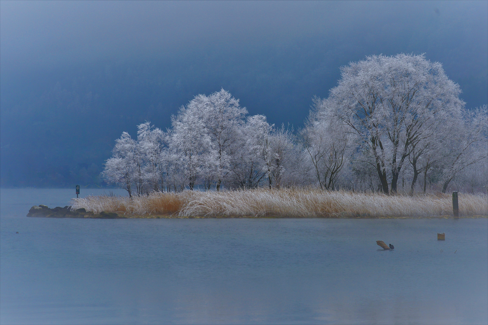 Nebel über dem Vierwaldstättersee