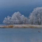 Nebel über dem Vierwaldstättersee