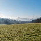 Nebel über dem Wald