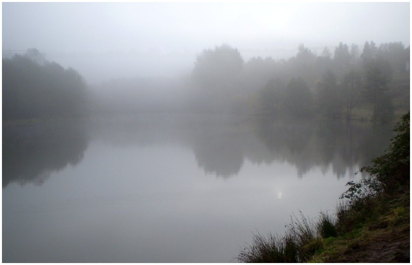 Nebel über dem Waldweiher ......