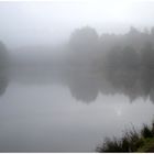 Nebel über dem Waldweiher ......