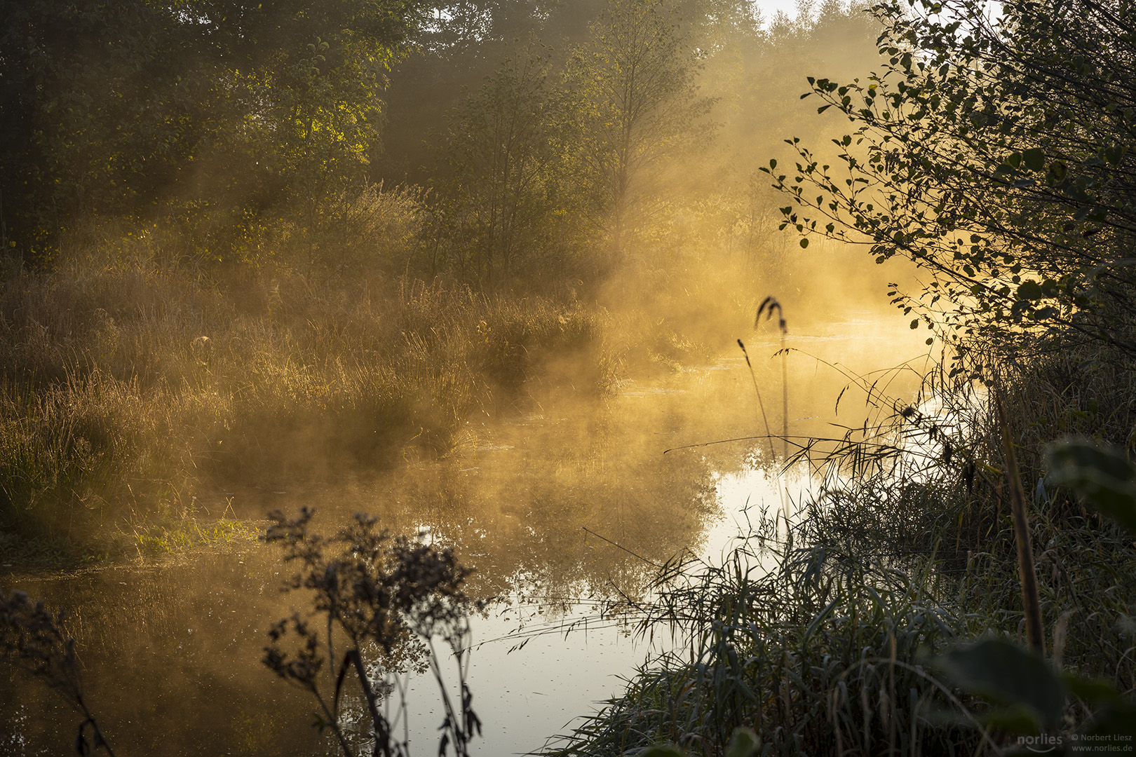 Nebel über dem Wasser