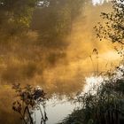 Nebel über dem Wasser