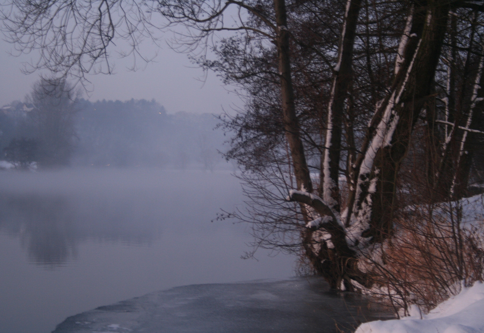 Nebel über dem Wasser